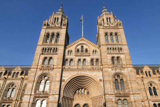 Natural History Museum New York Eintritt Natural History Museum New York Eintritt