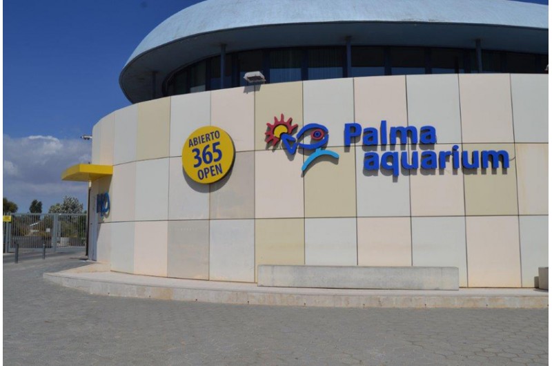 Palma Aquarium Tickets Mallorca Pass