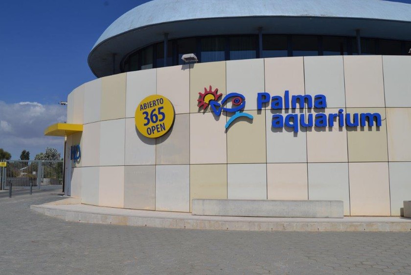 Palma Aquarium (Aquarium und Erlebnispark) 