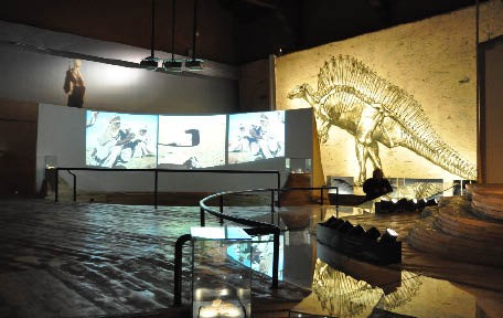 Museo di Storia Naturale (Museum für Naturgeschichte) (Complete)