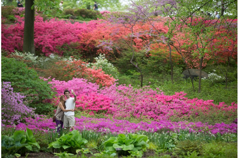 New York Botanical Garden Botanischer Garten Turbopass