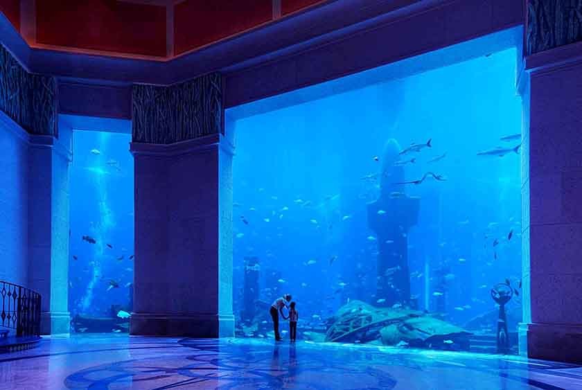 Ambassador Lagoon Aquarium (im 2-, 3- und 5-Tage-Pass)