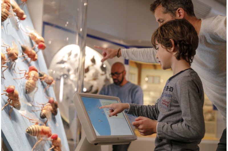 Museum Mensch & Natur München Erlebe