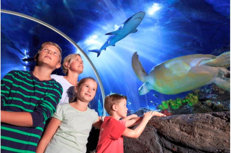 Familie im Sea Life München