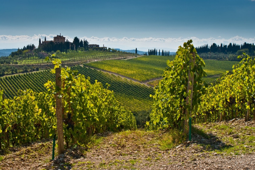 Tagesausflug: Montalcino, Montepulciano, Pienza und Weinverkostung