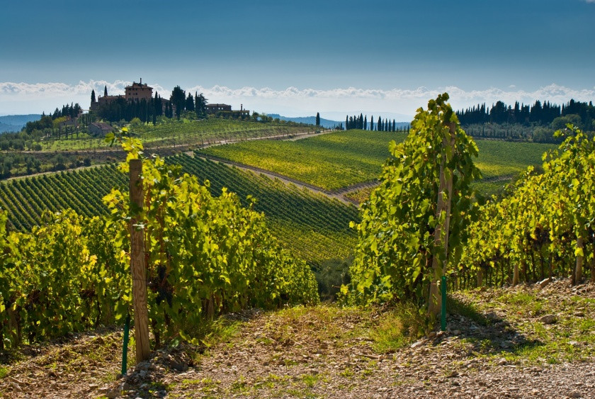 Rabatt: Tagesausflug nach Montepulciano und Pienza mit Weinverkostung