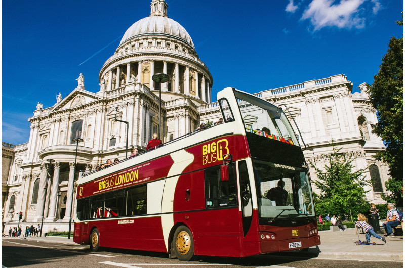 24 H Hop-On-Hop-Off Bus