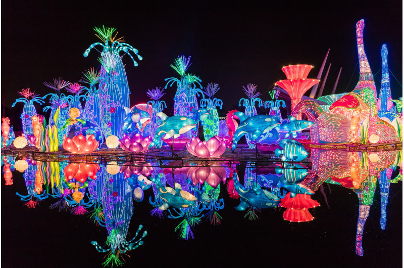 Themenpark Dubai Garden Glow