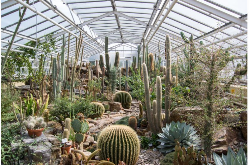 Botanischer Garten MünchenNymphenburg Eintritt