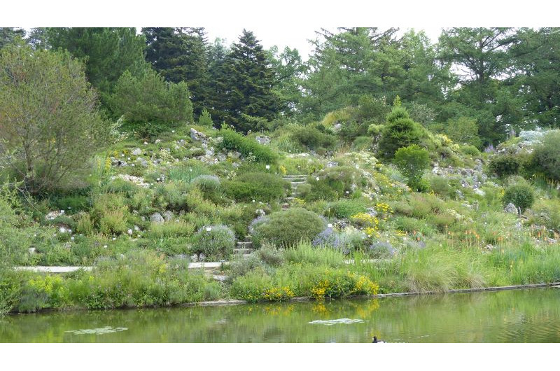 Botanischer Garten MünchenNymphenburg Eintritt