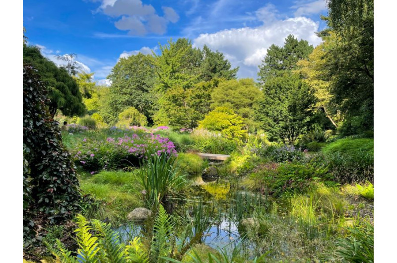 Botanischer Garten Hamburg Sehenswürdigkeiten Hamburg