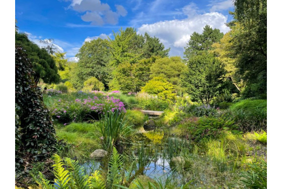 Botanischer Garten Hamburg Sehenswürdigkeiten Hamburg
