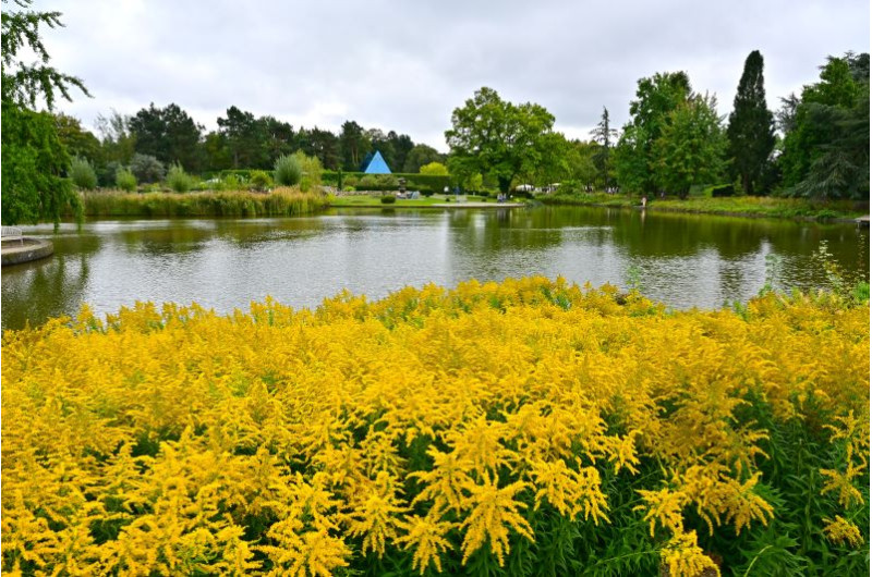 Botanischer Garten Hamburg Sehenswürdigkeiten Hamburg