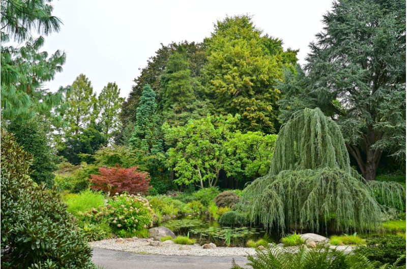 Botanischer Garten Hamburg Sehenswürdigkeiten Hamburg