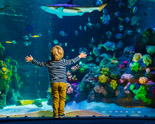 SEA Life Munich Card